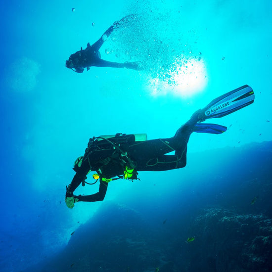 All Day Dive Charter (8 Hours)